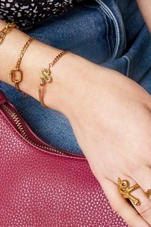 Armband Shiny Serpent Goldfarbe Edelstahl h5 Bild2